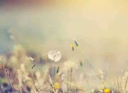 当然,如果你能遇到像你一样善待,伤感格言-麻辣