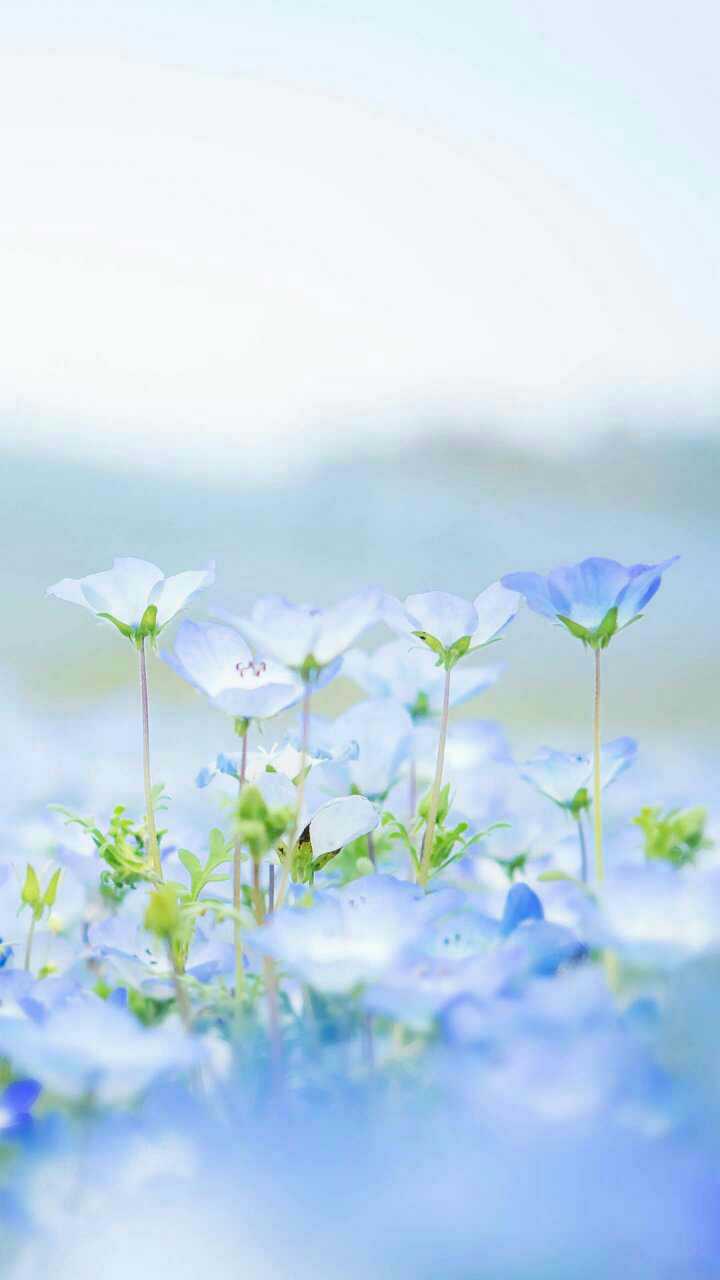 很疼! 丢了我,你心疼吗? 好好珍惜对你好的人 ,