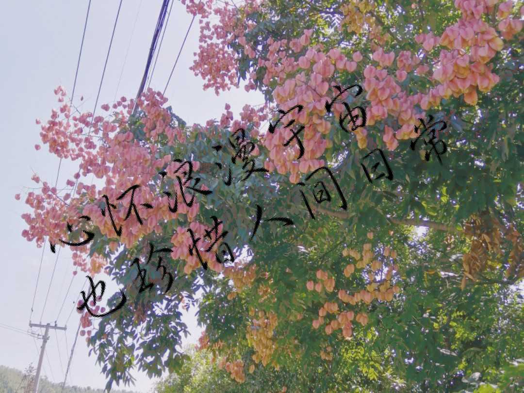 https://www.58100.com/index/detail/759993