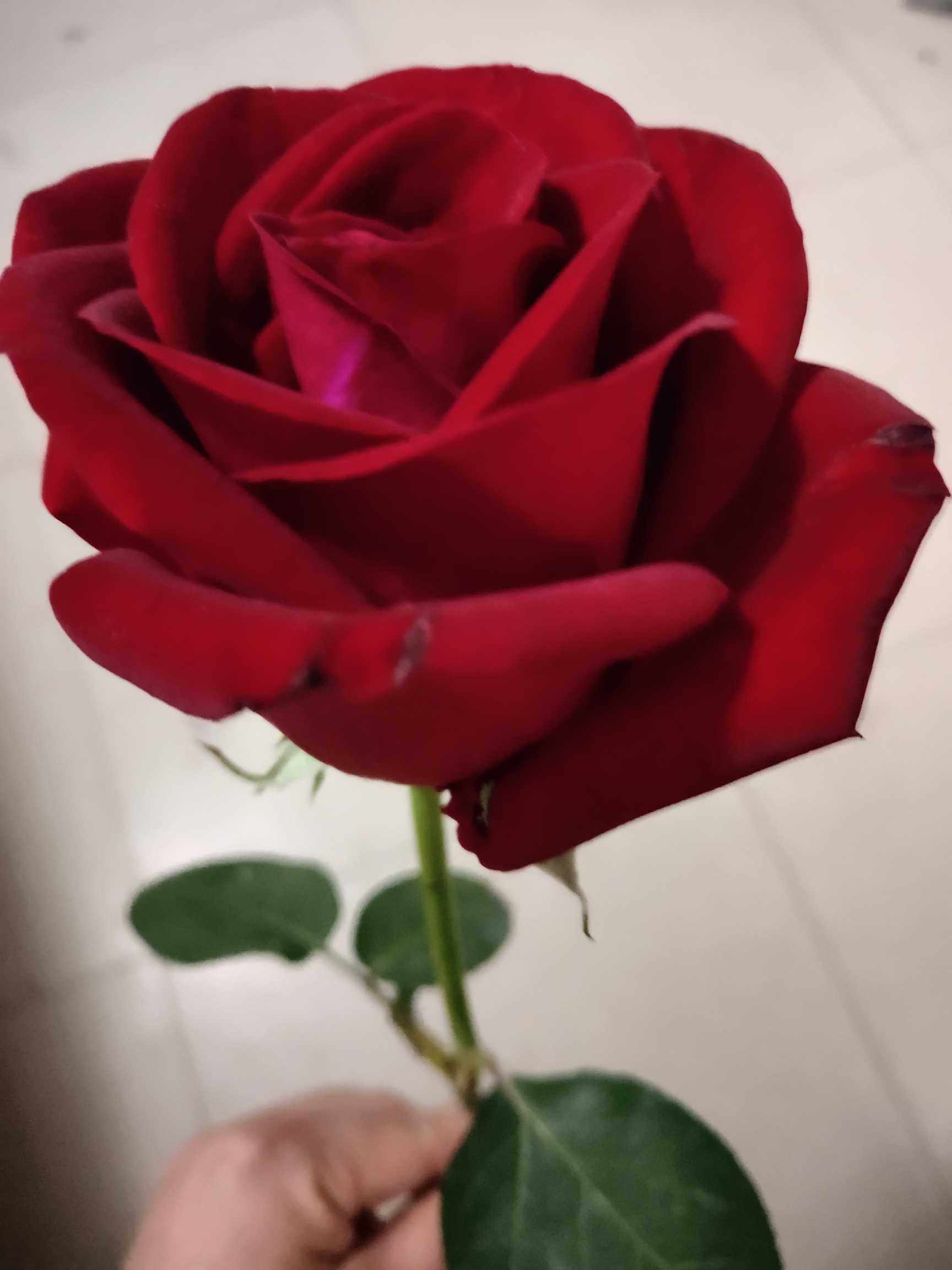 https://www.58100.com/index/detail/760118