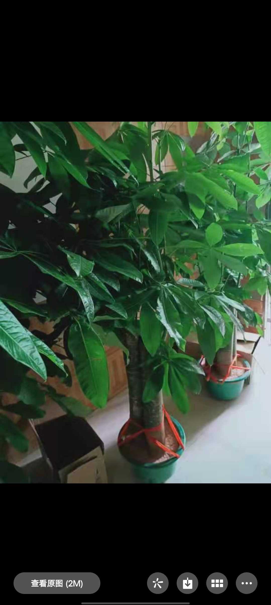 https://www.58100.com/index/detail/760237