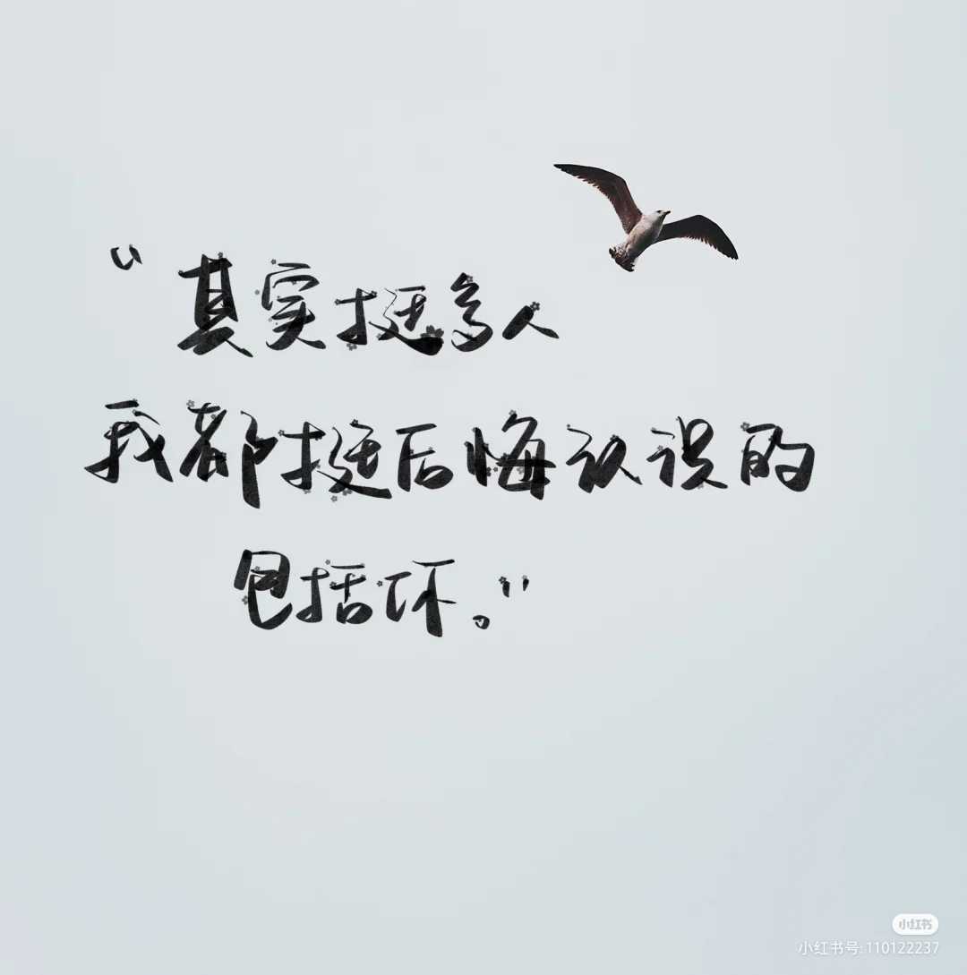 https://www.58100.com/index/detail/760384