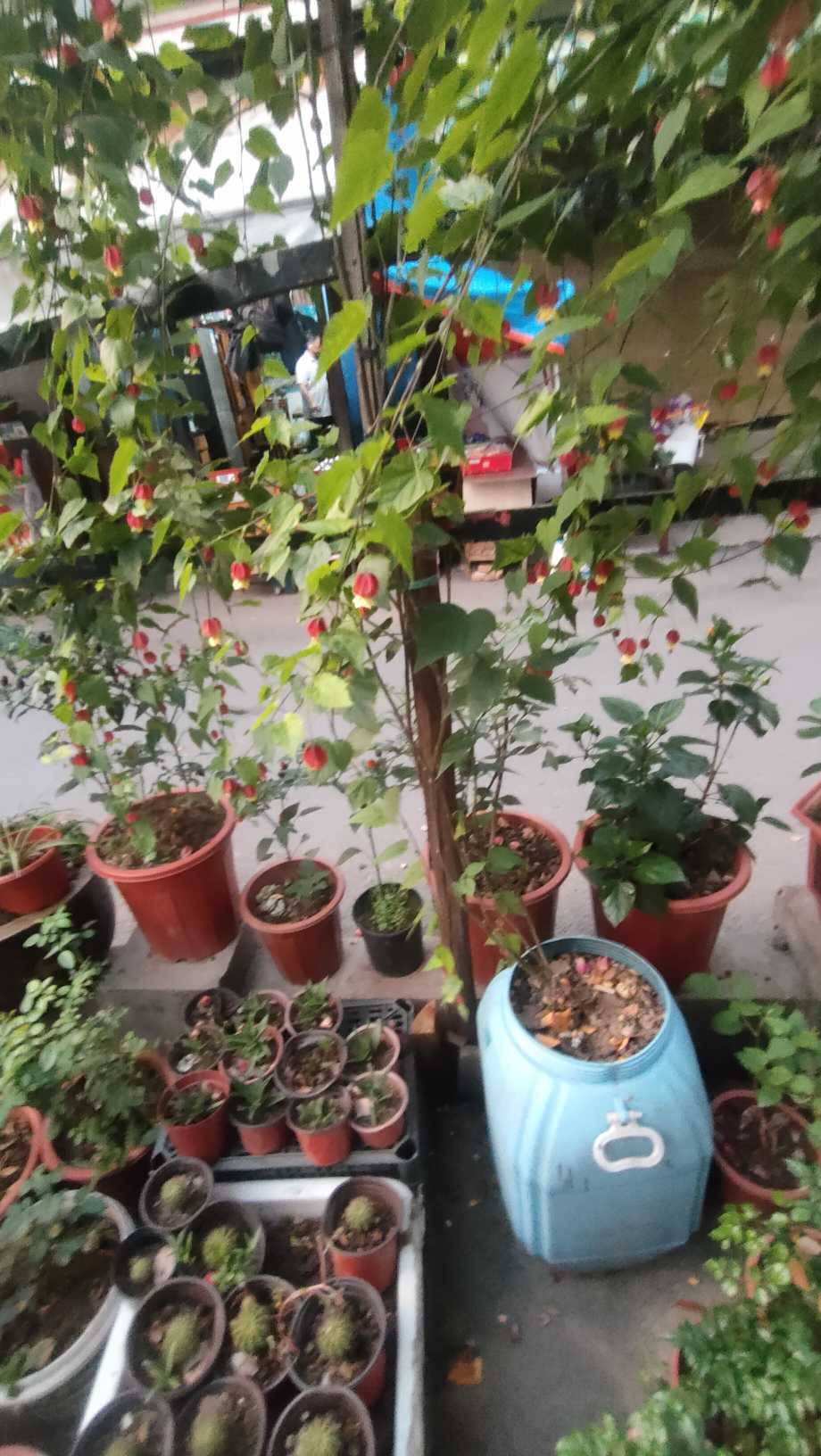 https://www.58100.com/index/detail/760385
