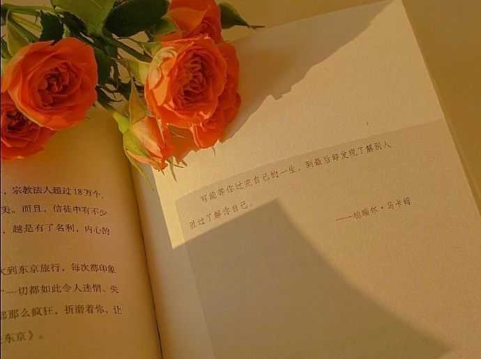 https://www.58100.com/index/detail/760583