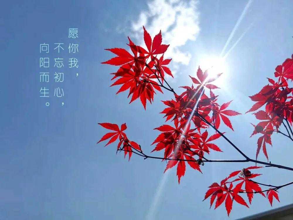 https://www.58100.com/index/detail/760609