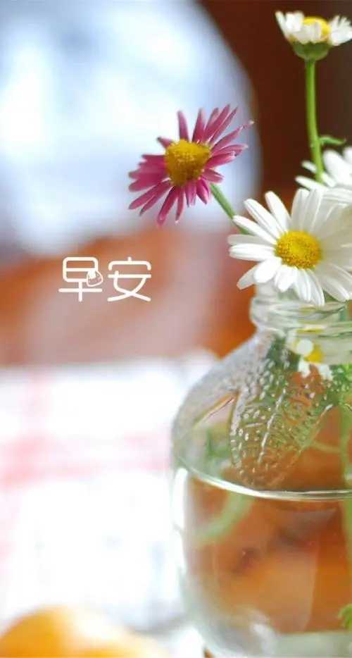 https://www.58100.com/index/detail/761089