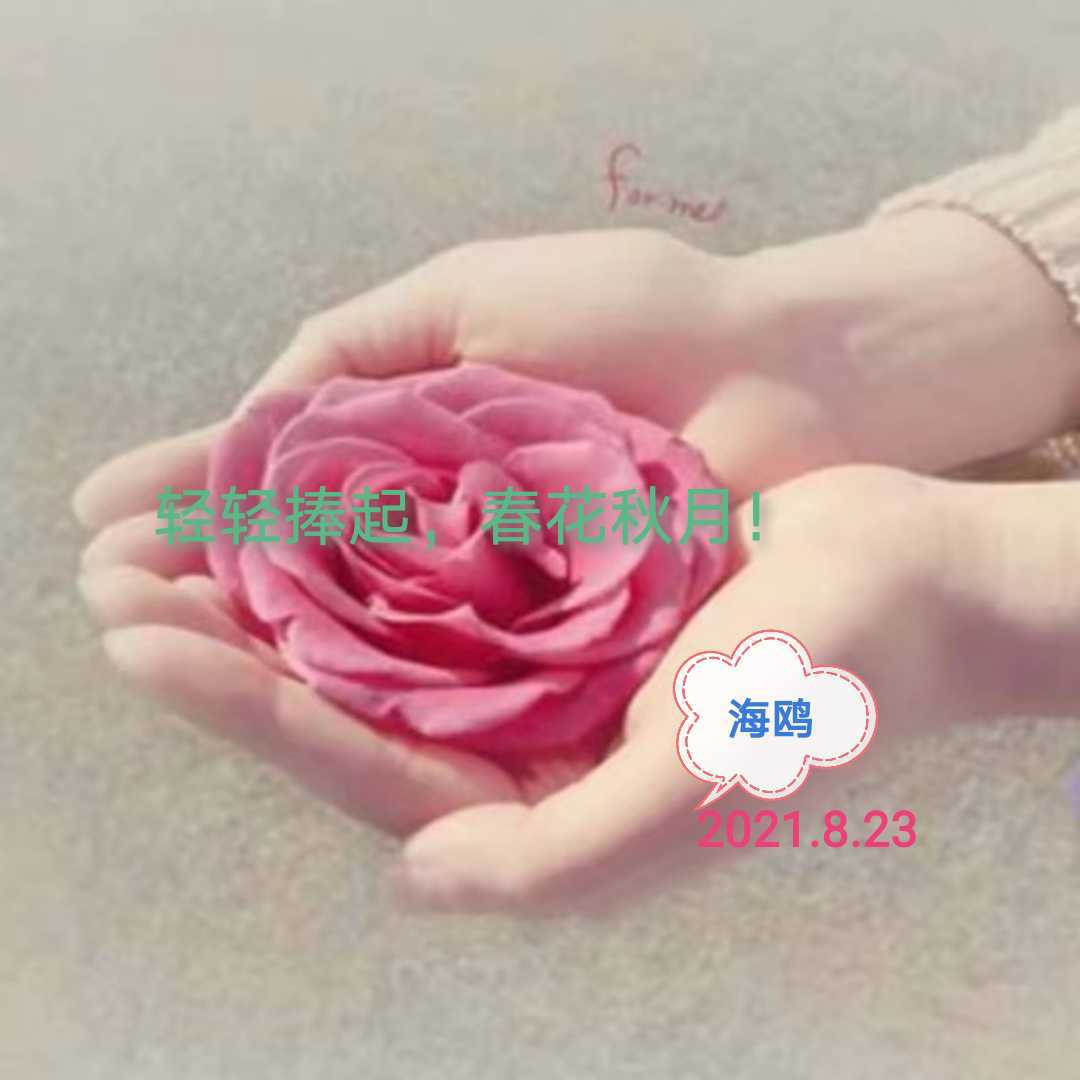 https://www.58100.com/index/detail/761272