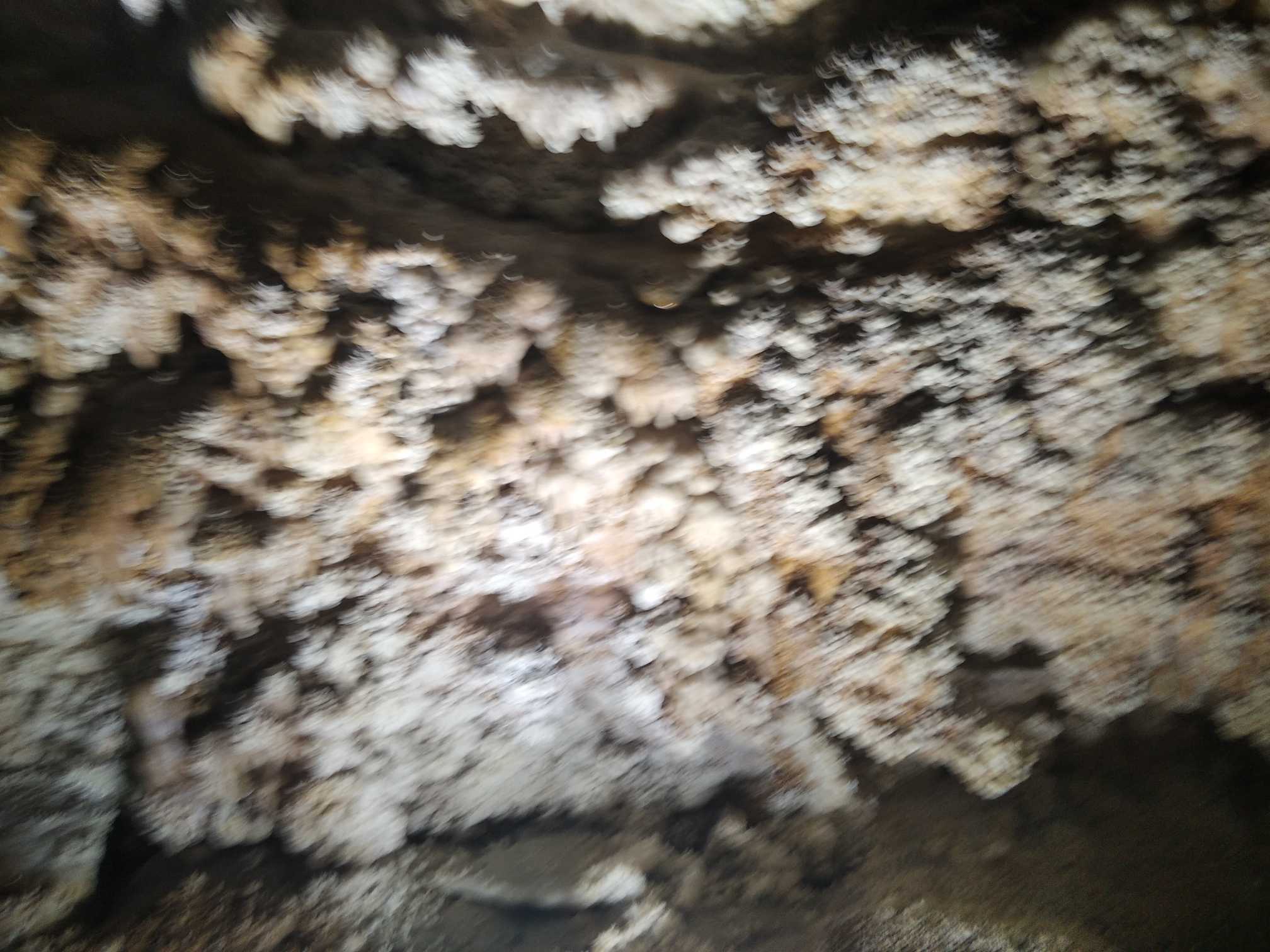 https://www.58100.com/index/detail/761319
