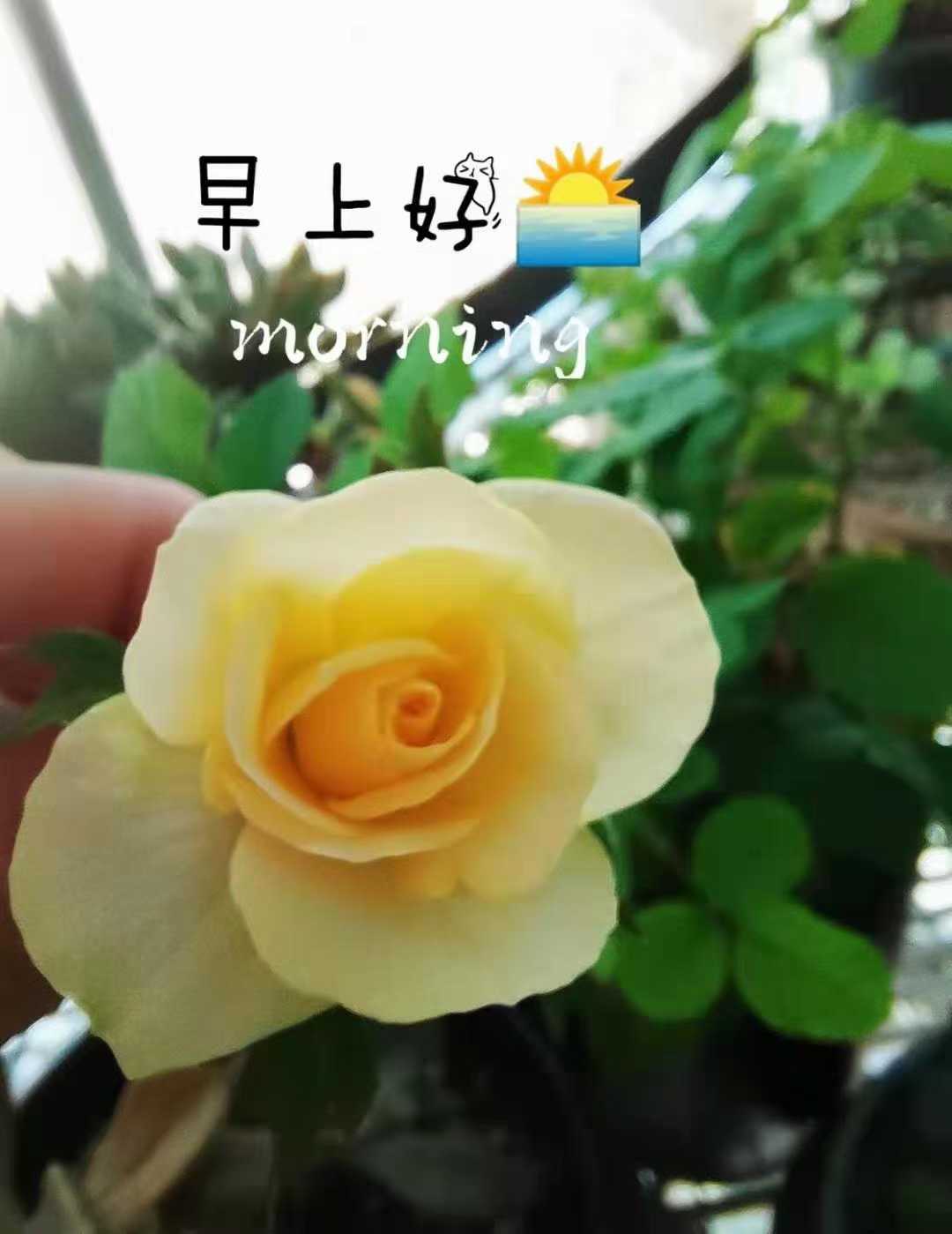 https://www.58100.com/index/detail/761816