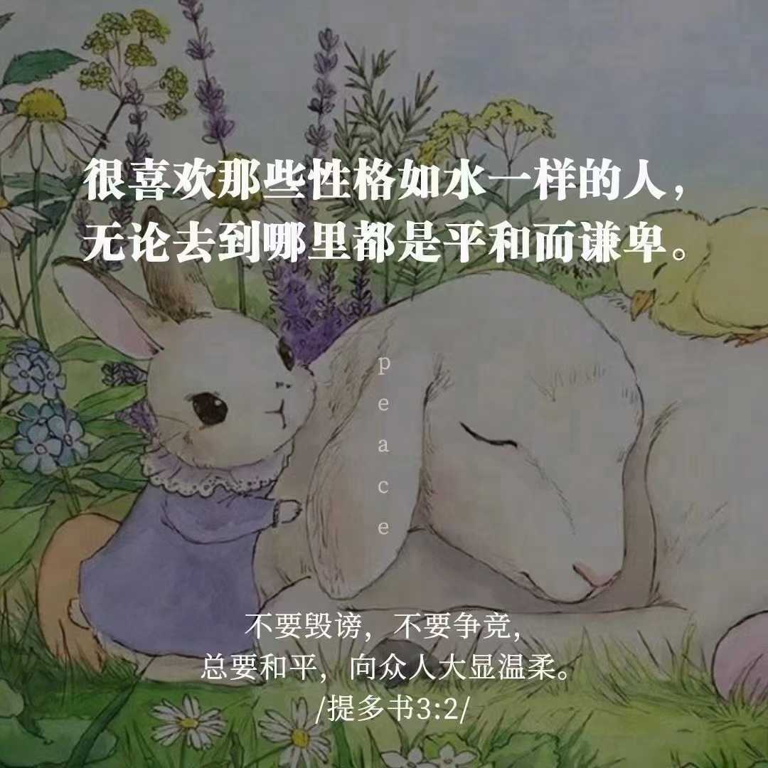 https://www.58100.com/index/detail/761996