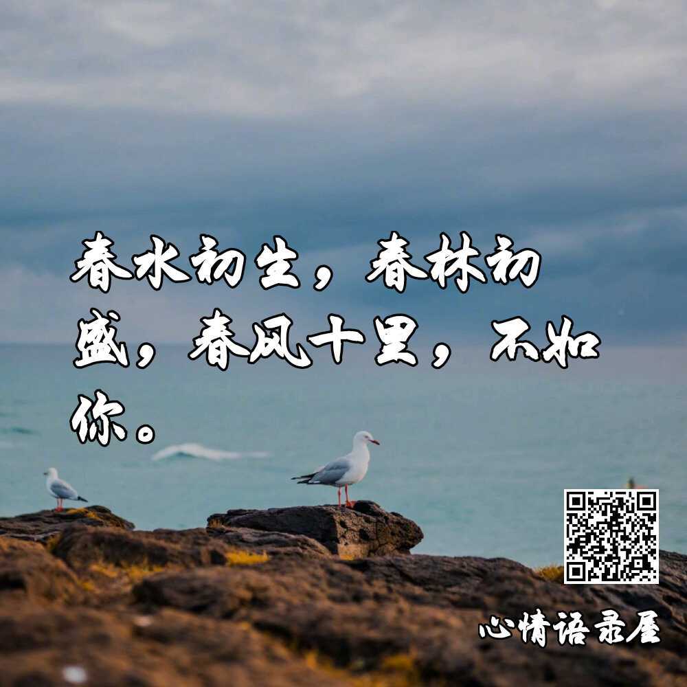 https://www.58100.com/index/detail/762079