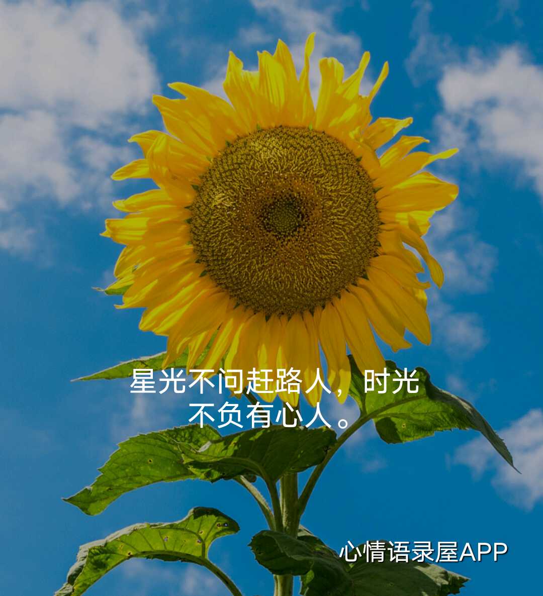 https://www.58100.com/index/detail/762180
