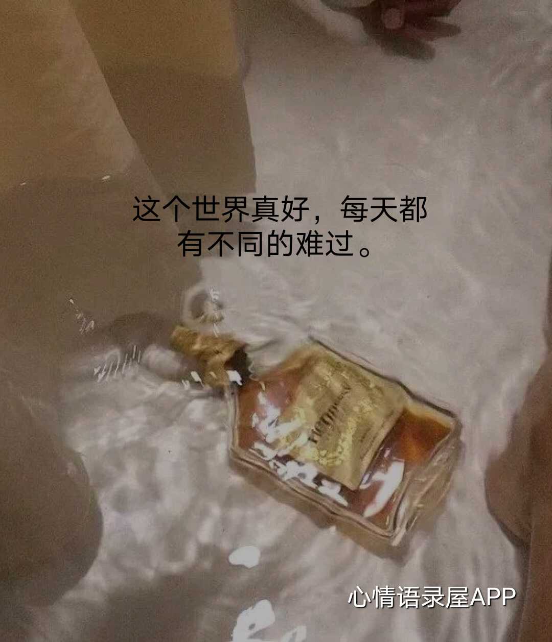 https://www.58100.com/index/detail/762306