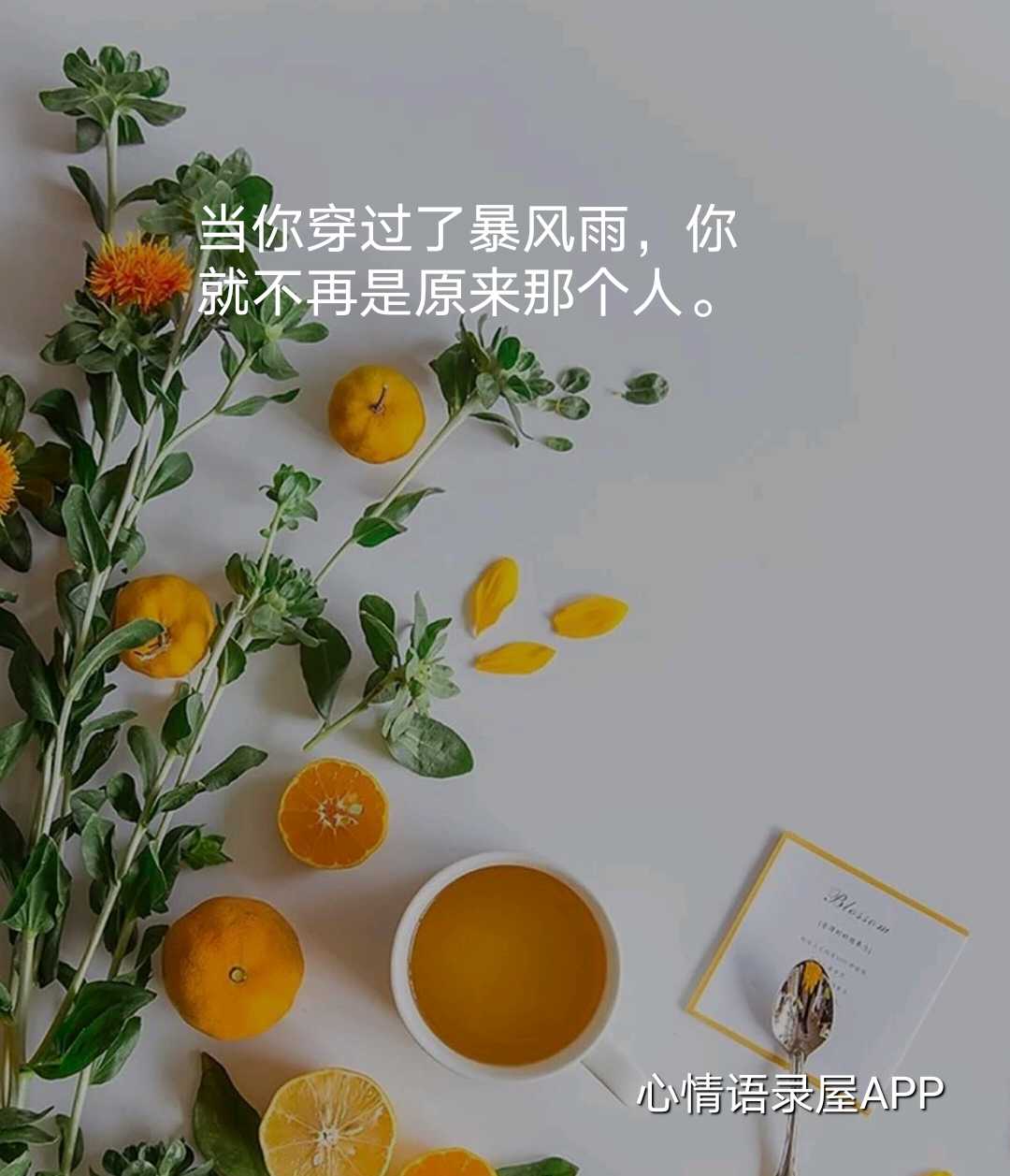 https://www.58100.com/index/detail/762310