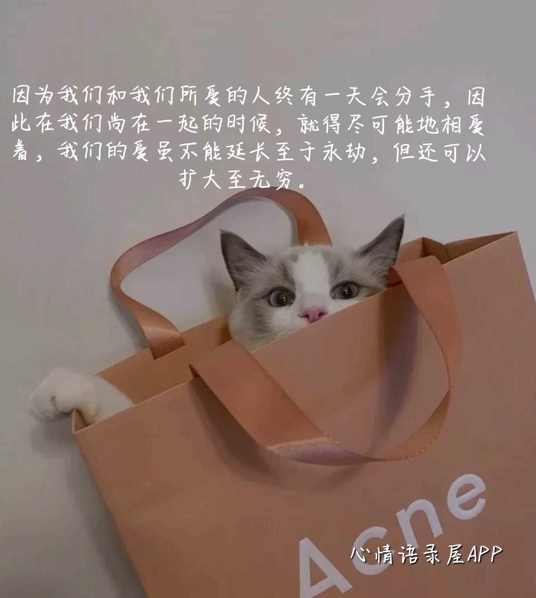 https://www.58100.com/index/detail/762317