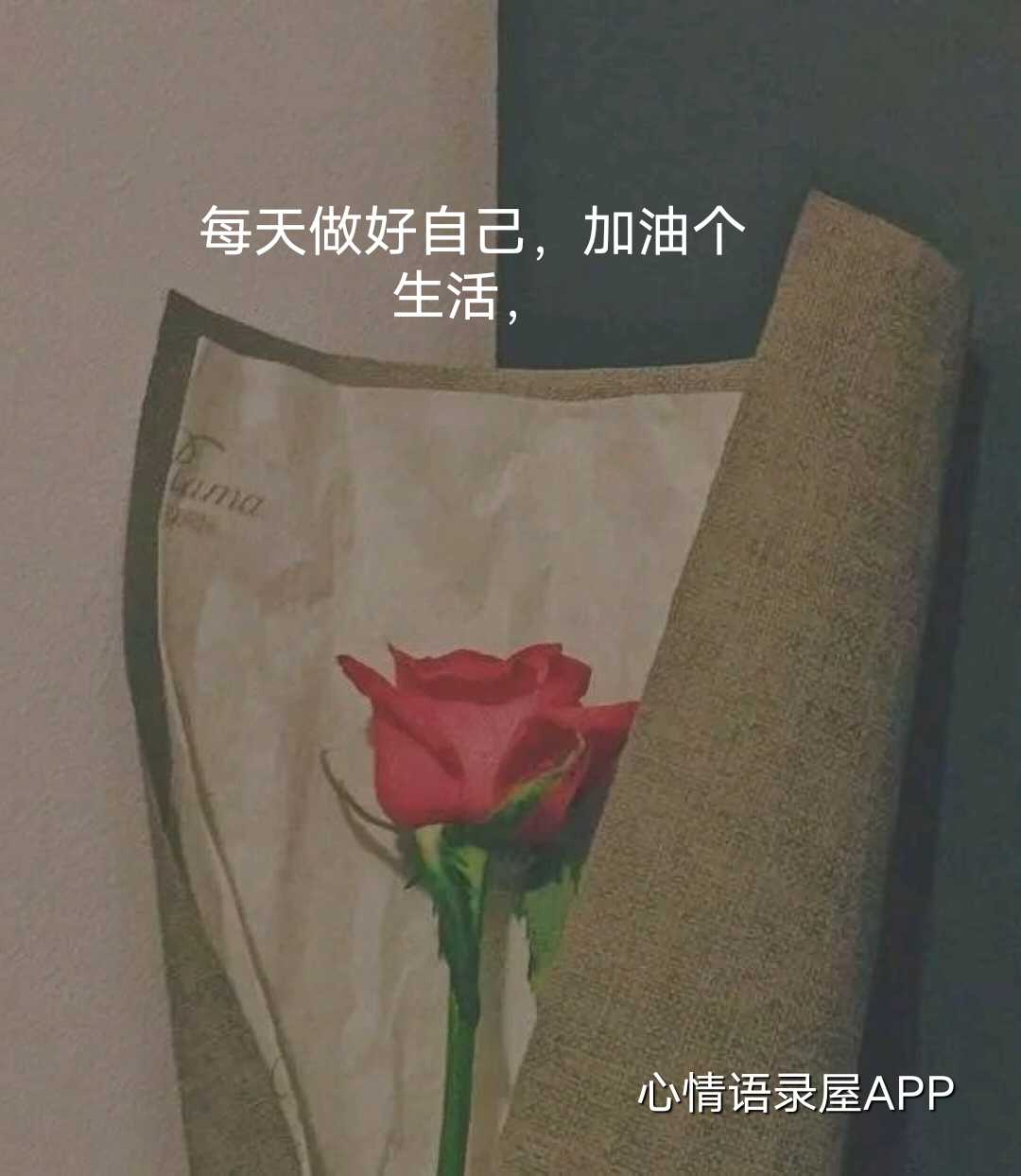 https://www.58100.com/index/detail/762322