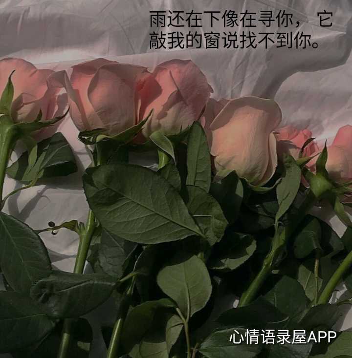 https://www.58100.com/index/detail/762332