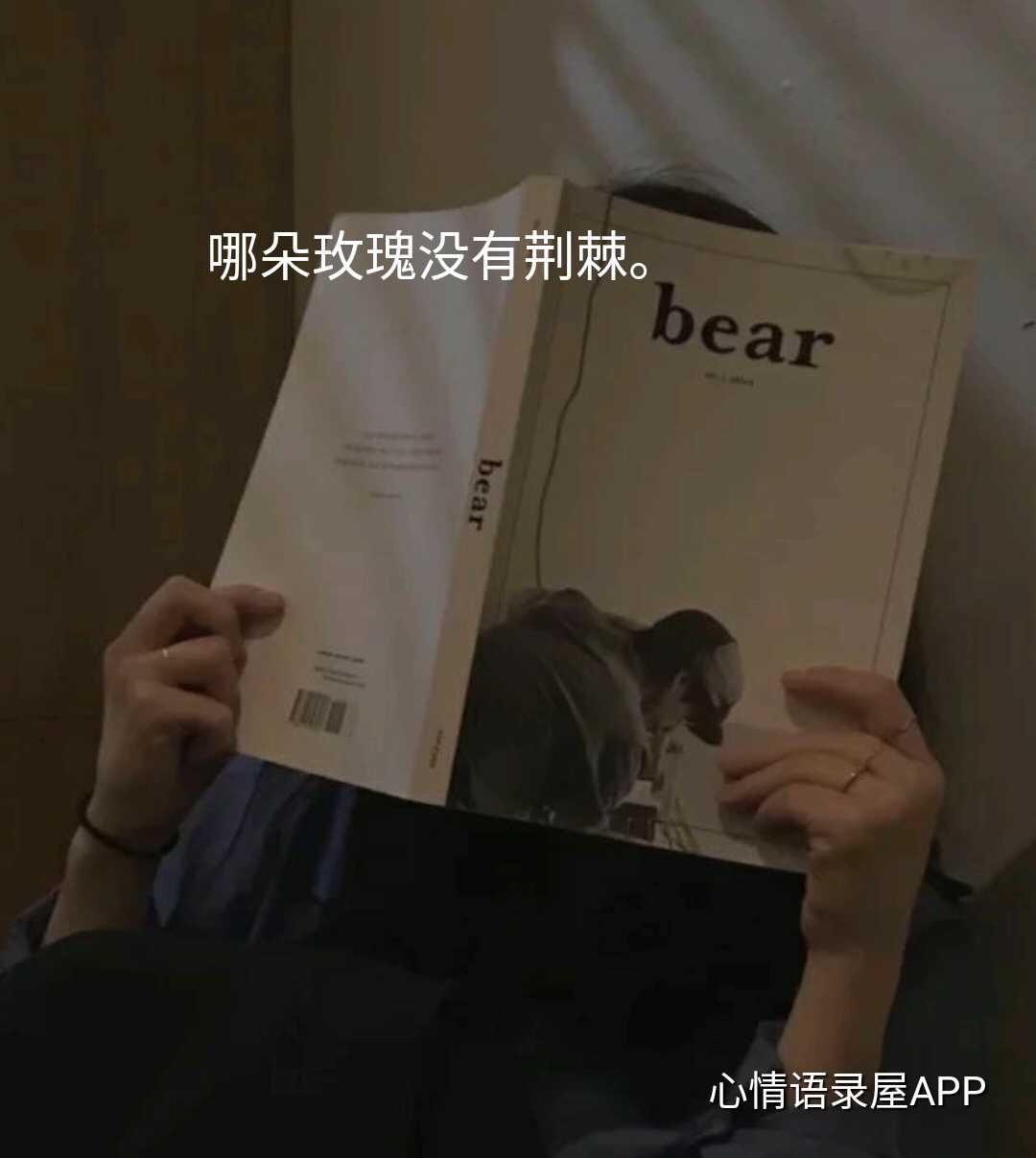 https://www.58100.com/index/detail/762417