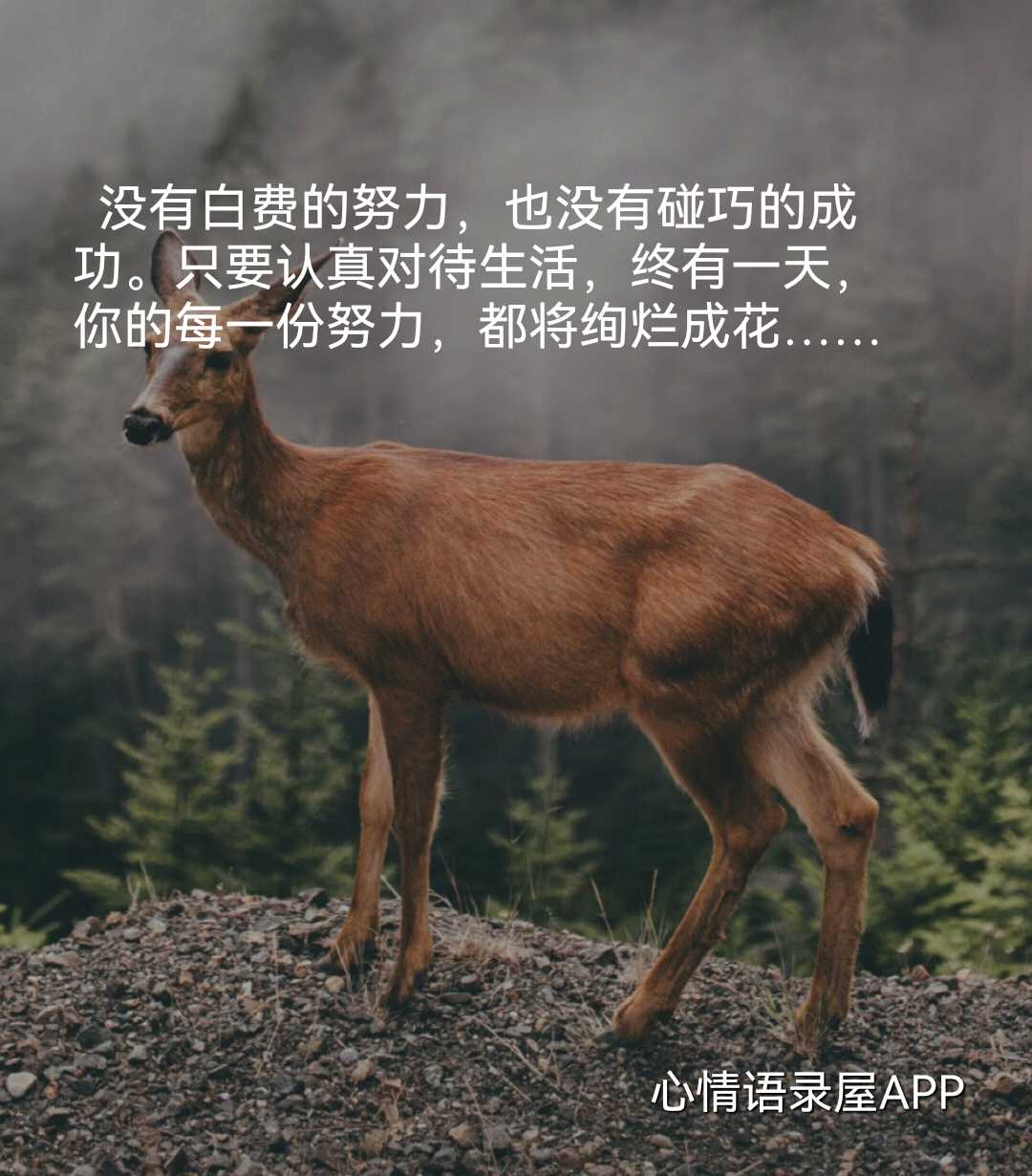 https://www.58100.com/index/detail/762420