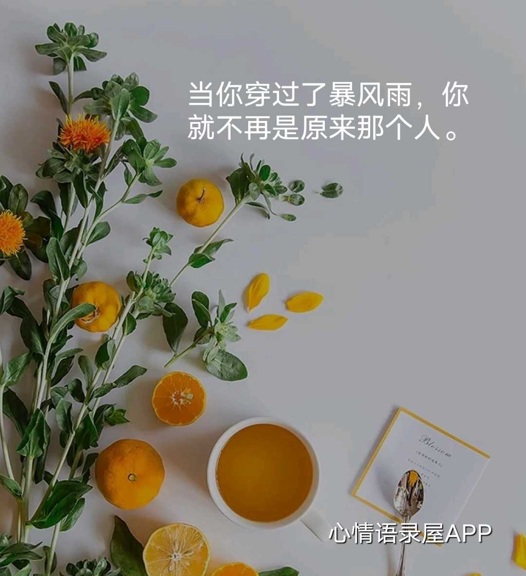 https://www.58100.com/index/detail/762423