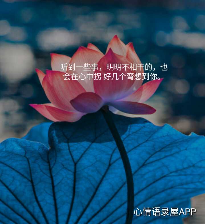 https://www.58100.com/index/detail/762471