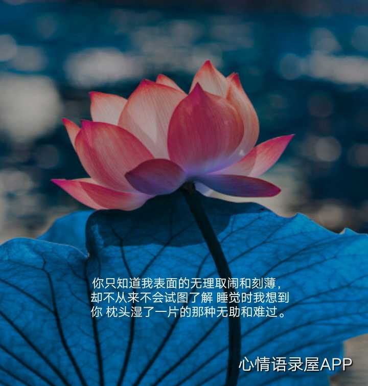 https://www.58100.com/index/detail/762472