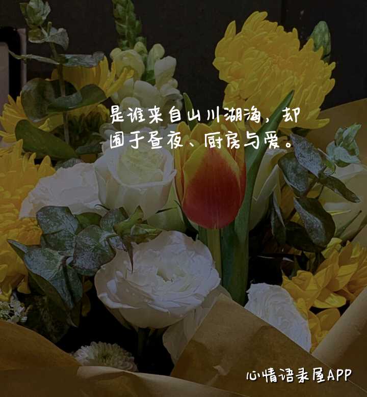 https://www.58100.com/index/detail/762473