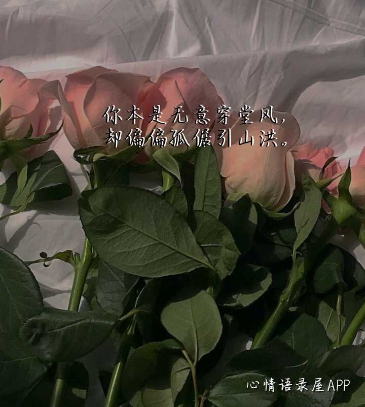 https://www.58100.com/index/detail/762474