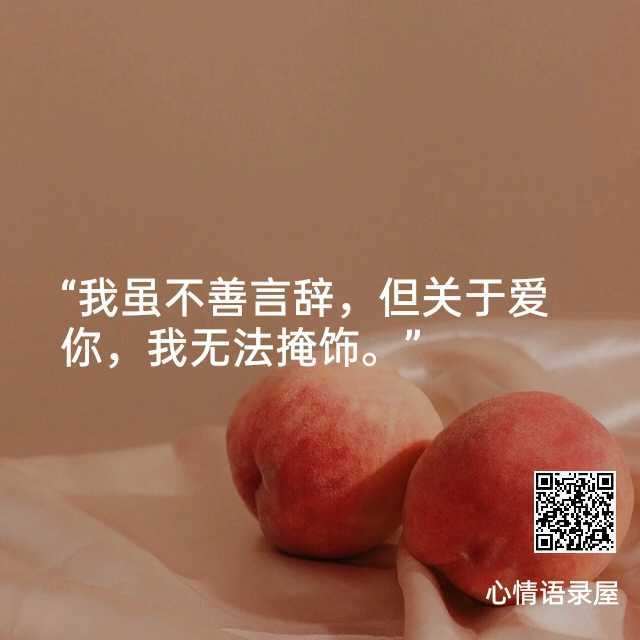 https://www.58100.com/index/detail/762536