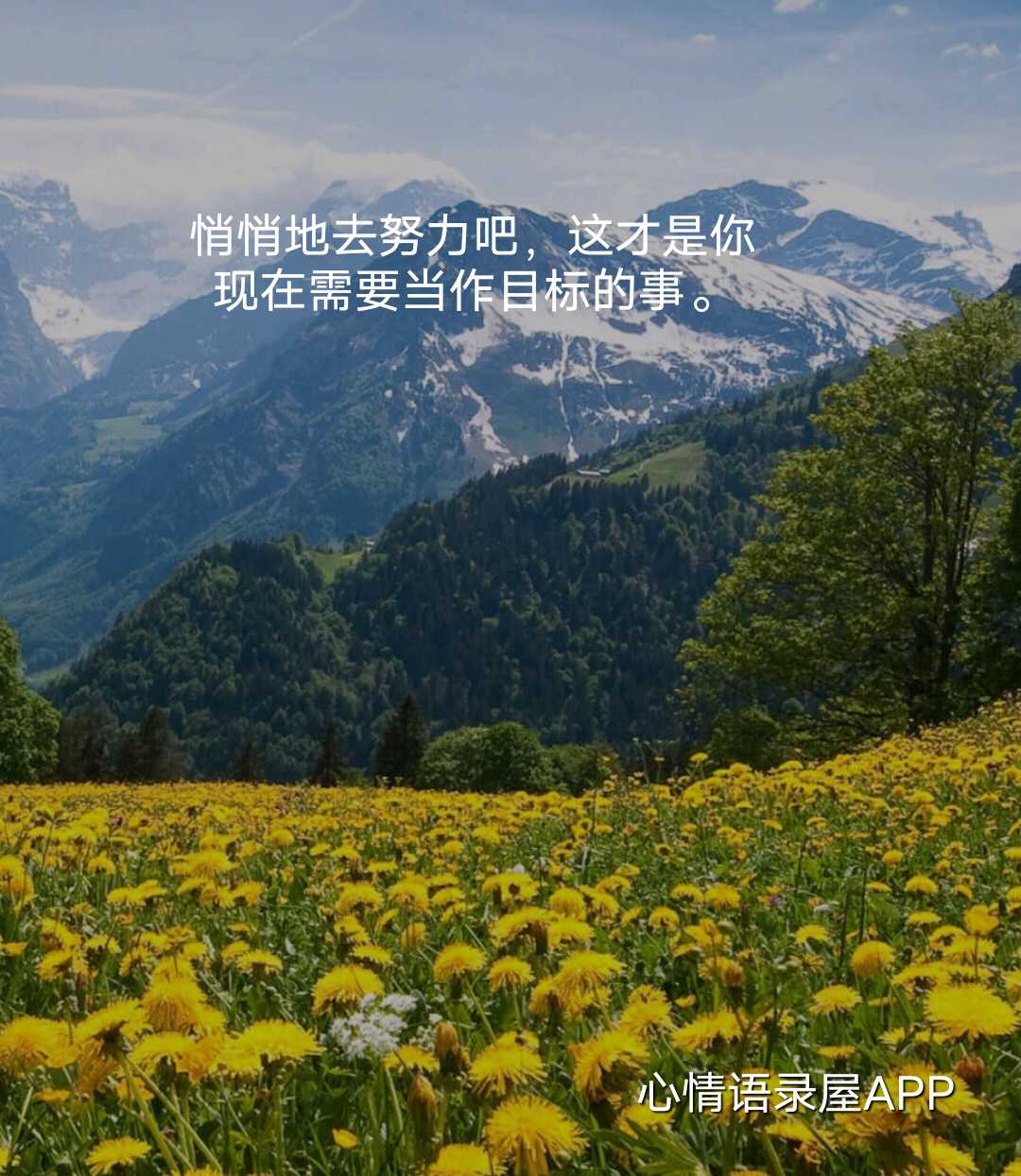 https://www.58100.com/index/detail/762602