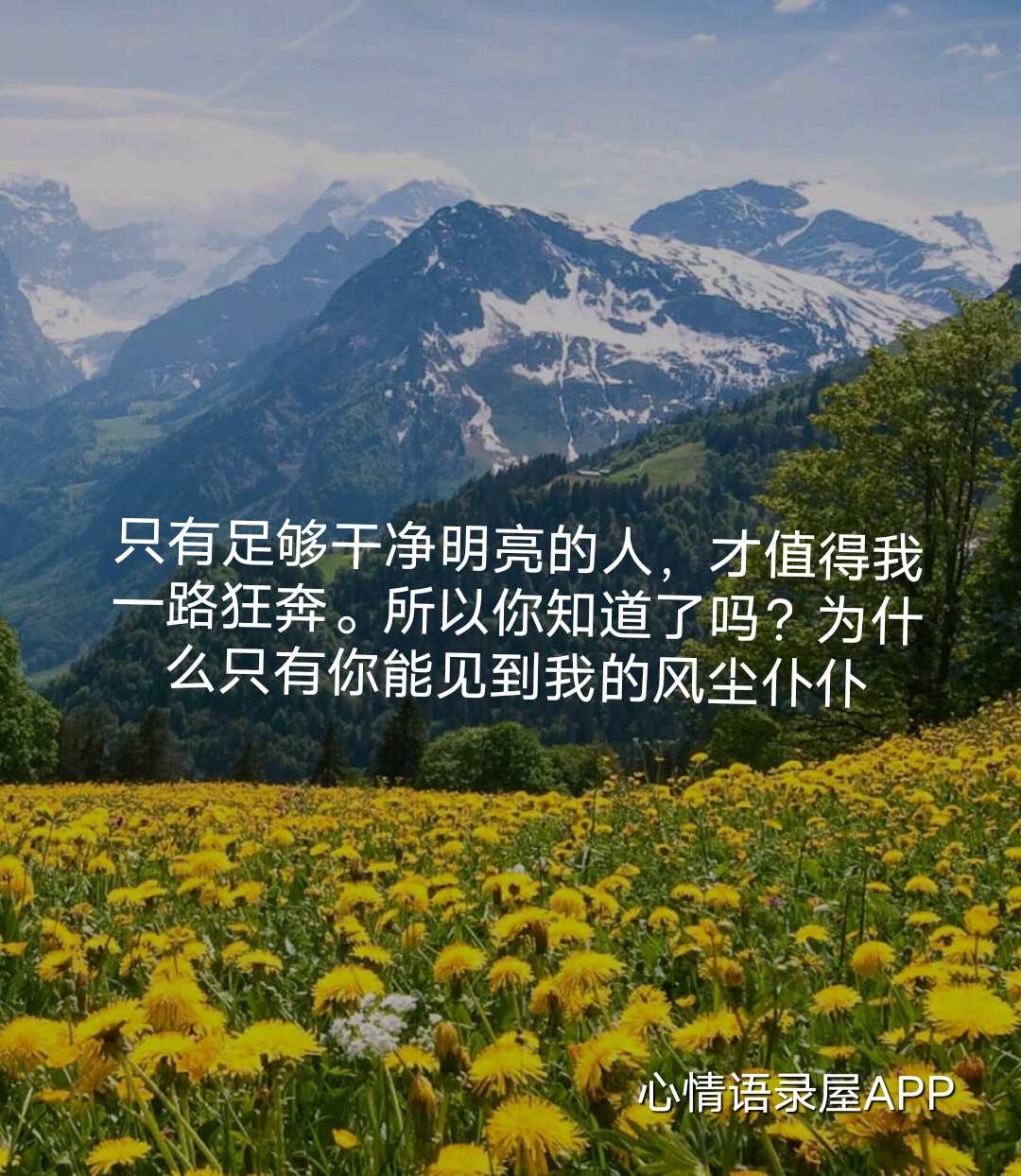 https://www.58100.com/index/detail/762646