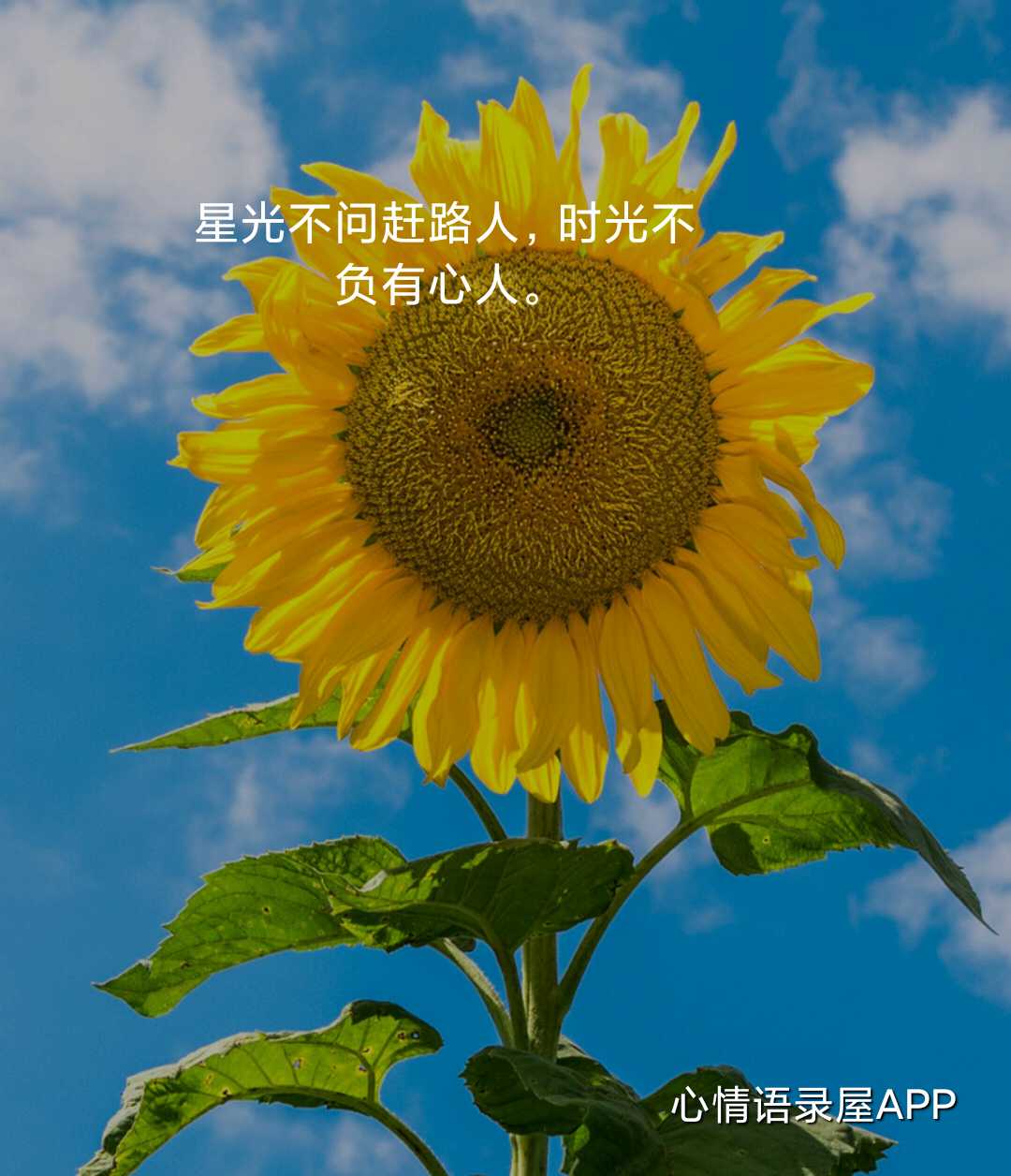 https://www.58100.com/index/detail/762702