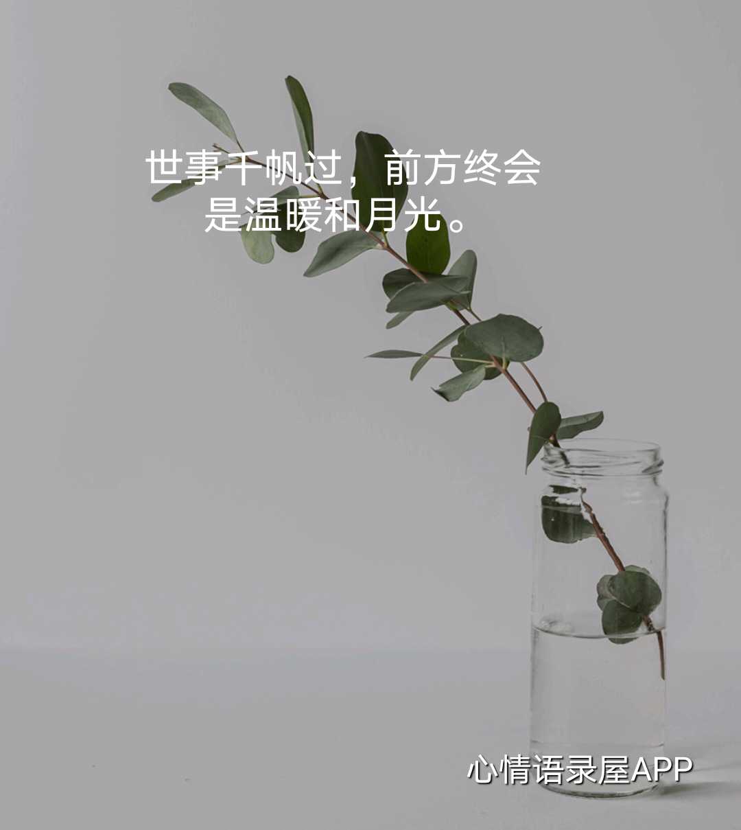 https://www.58100.com/index/detail/762737