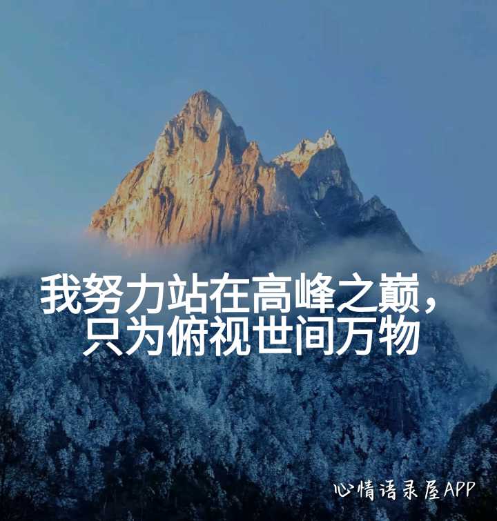 https://www.58100.com/index/detail/762750