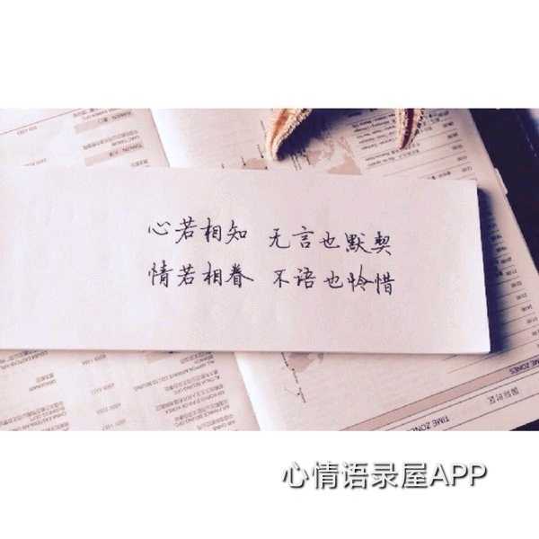 https://www.58100.com/index/detail/762869