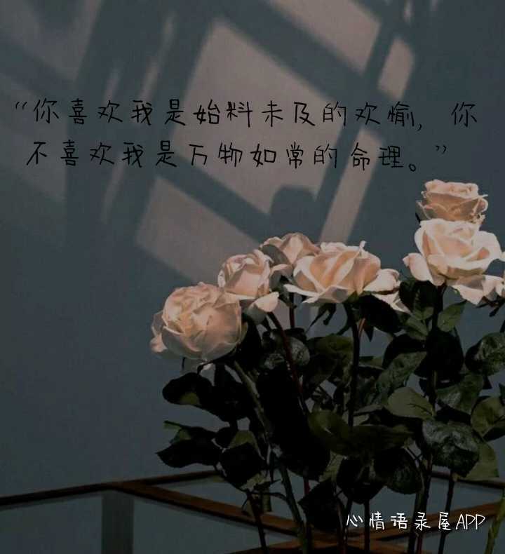 https://www.58100.com/index/detail/762870