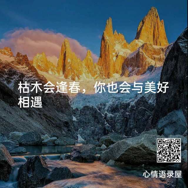 https://www.58100.com/index/detail/763396