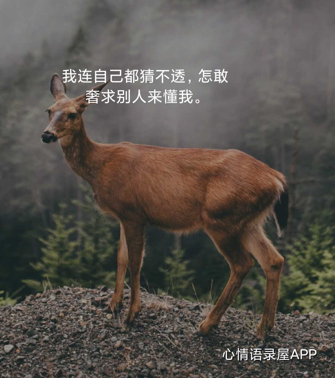 https://www.58100.com/index/detail/763406