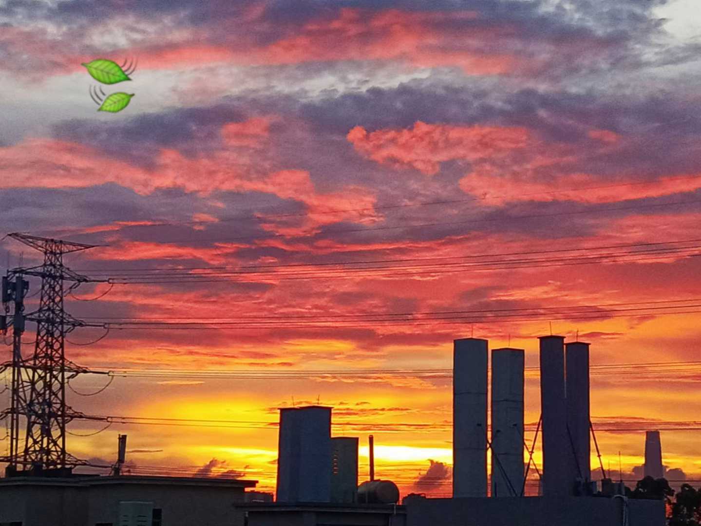 https://www.58100.com/index/detail/763410