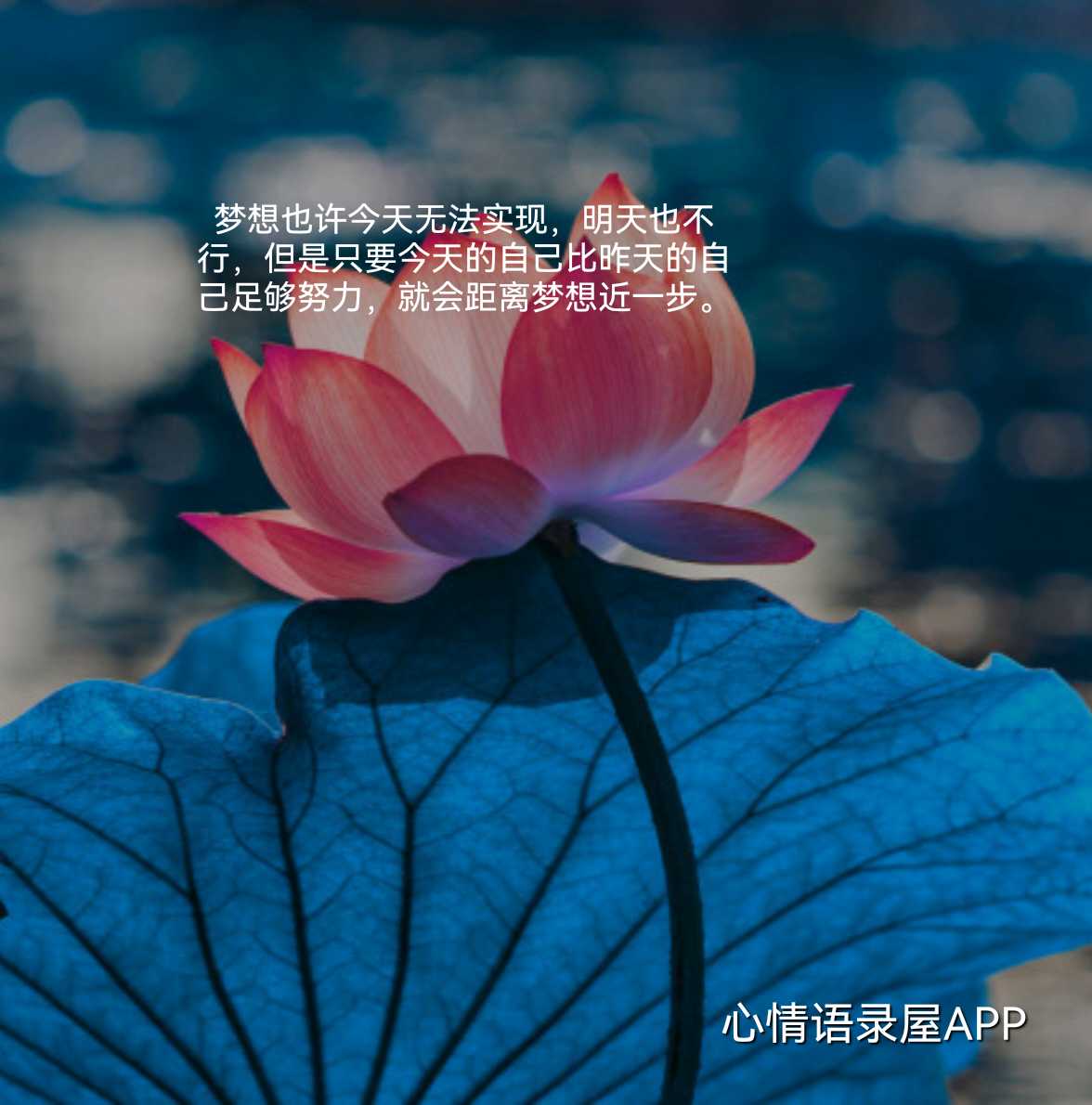 https://www.58100.com/index/detail/763416