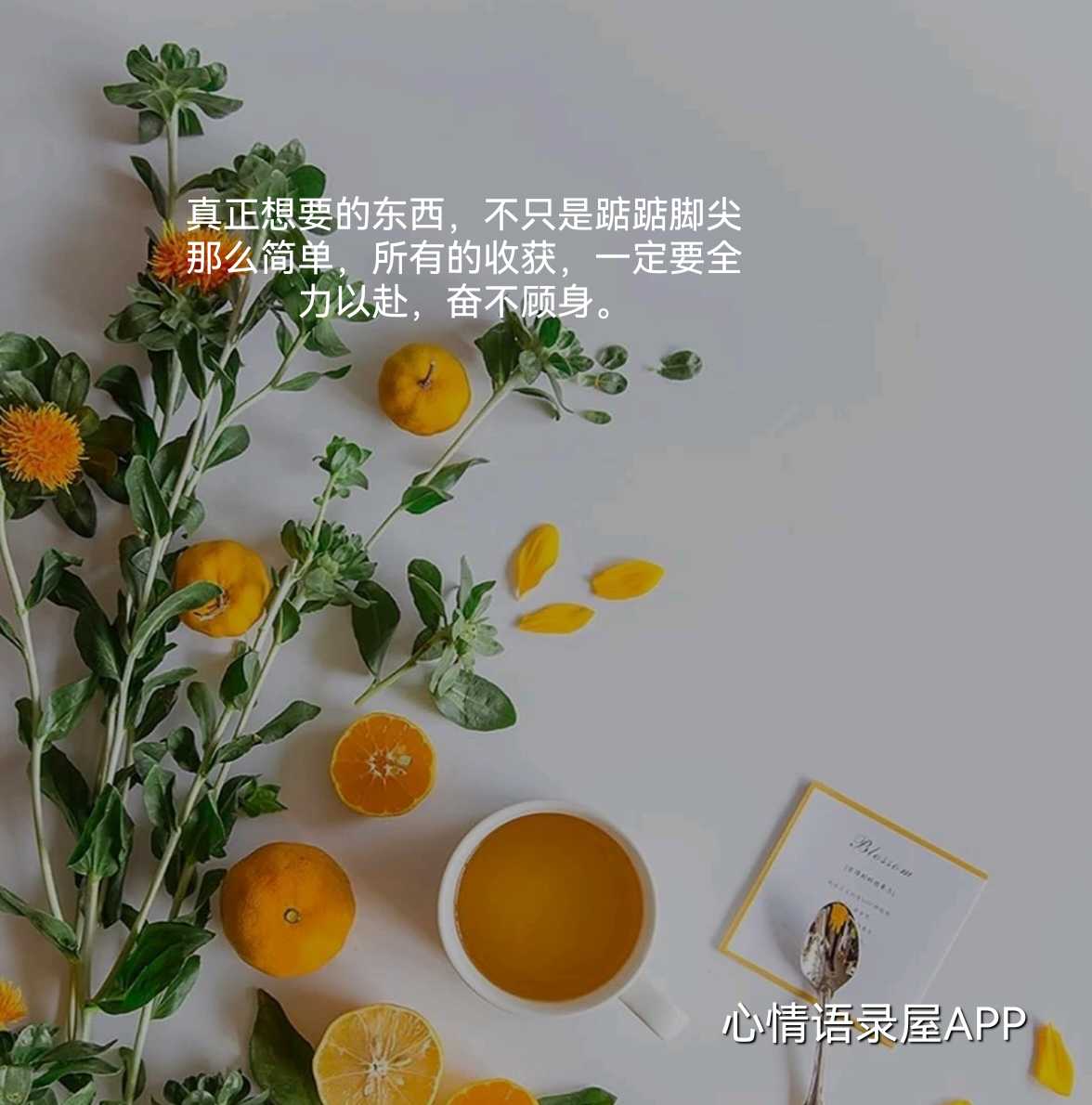 https://www.58100.com/index/detail/763417
