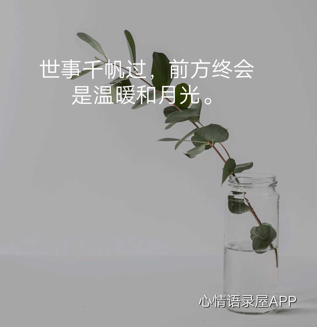 https://www.58100.com/index/detail/763429