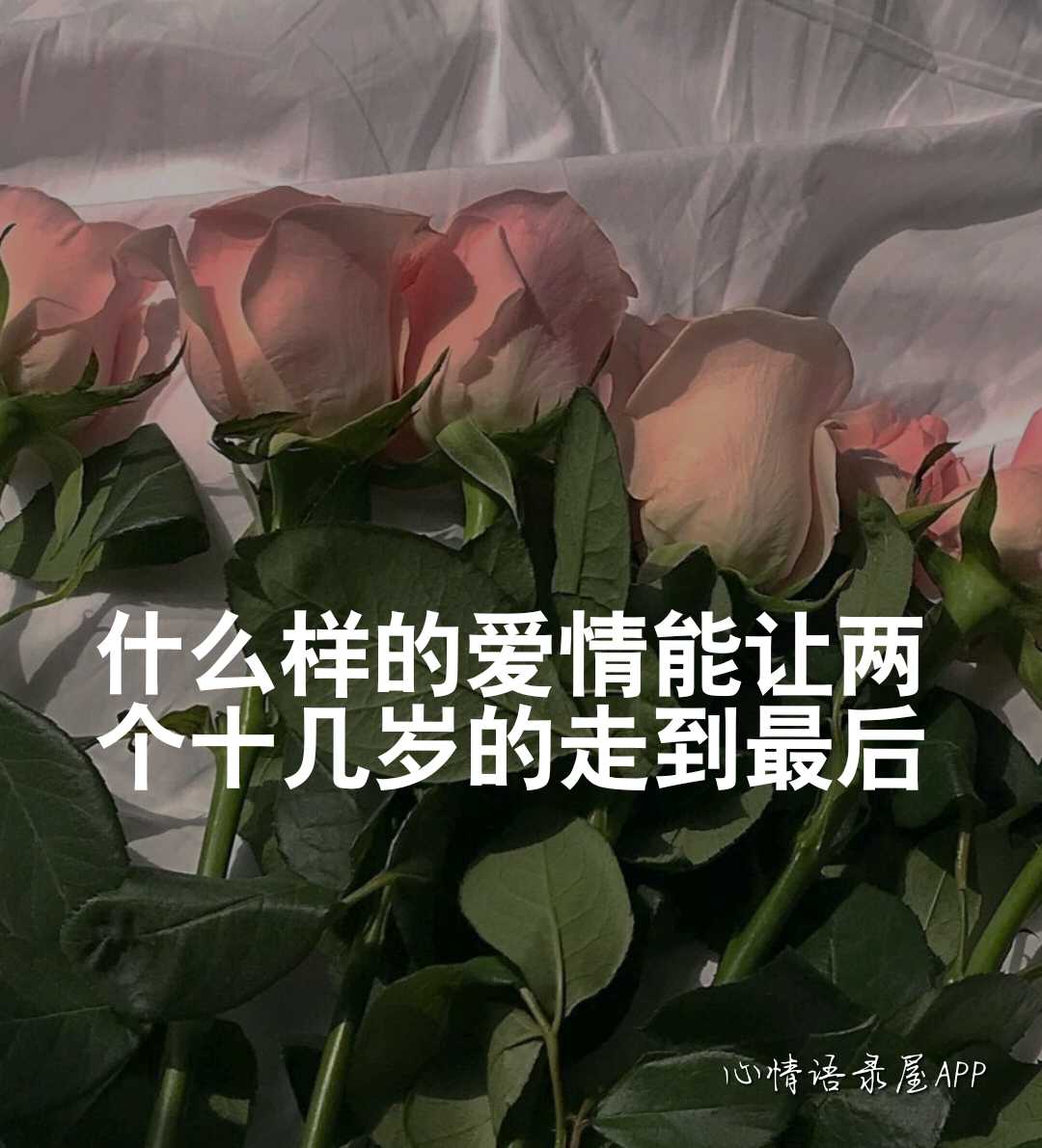 https://www.58100.com/index/detail/763439