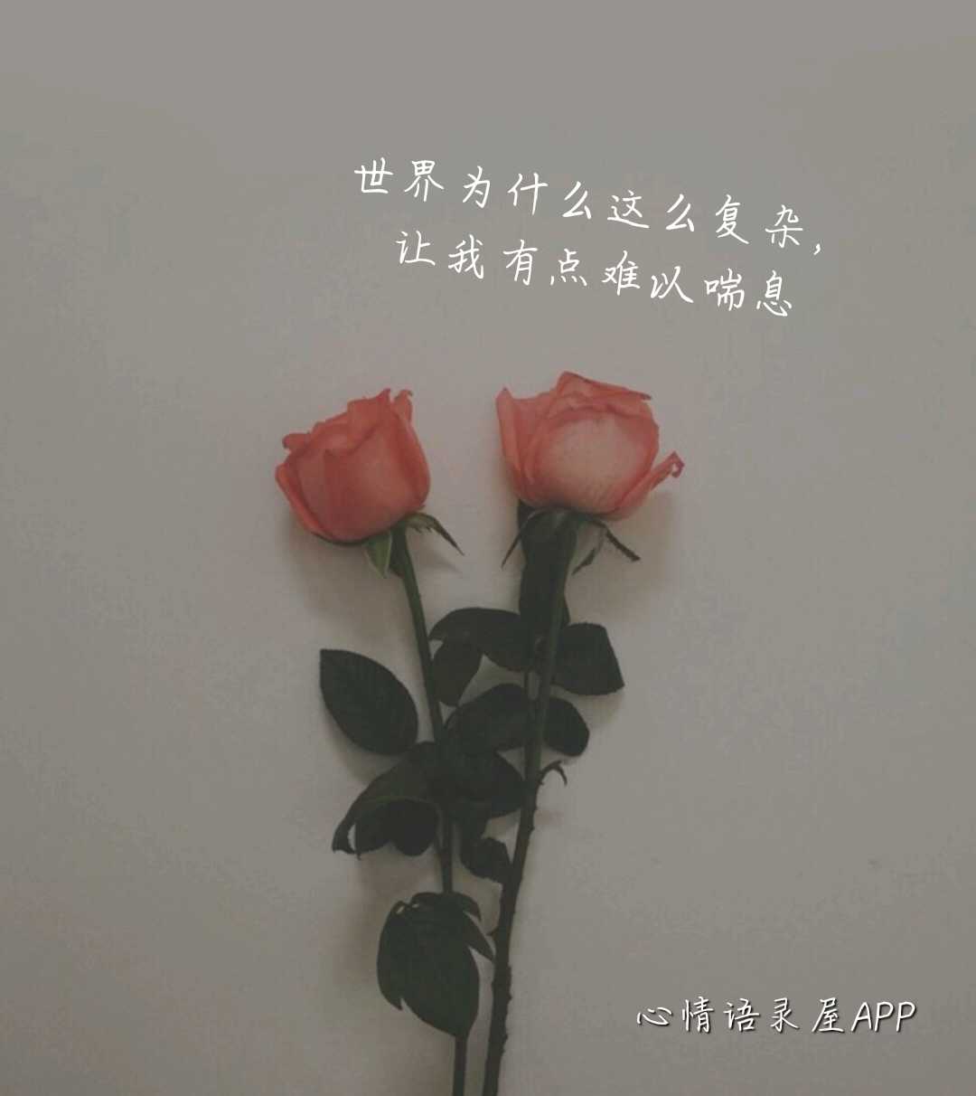 https://www.58100.com/index/detail/763470