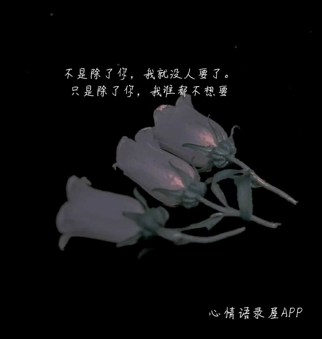 https://www.58100.com/index/detail/763486