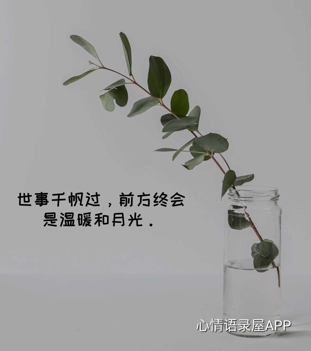 https://www.58100.com/index/detail/763512