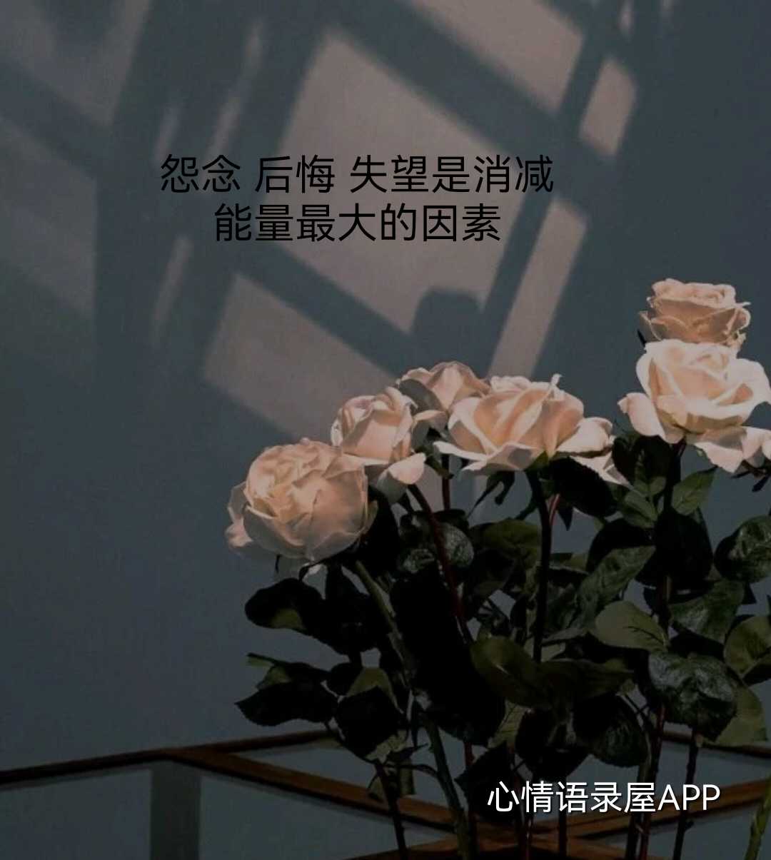 https://www.58100.com/index/detail/763541