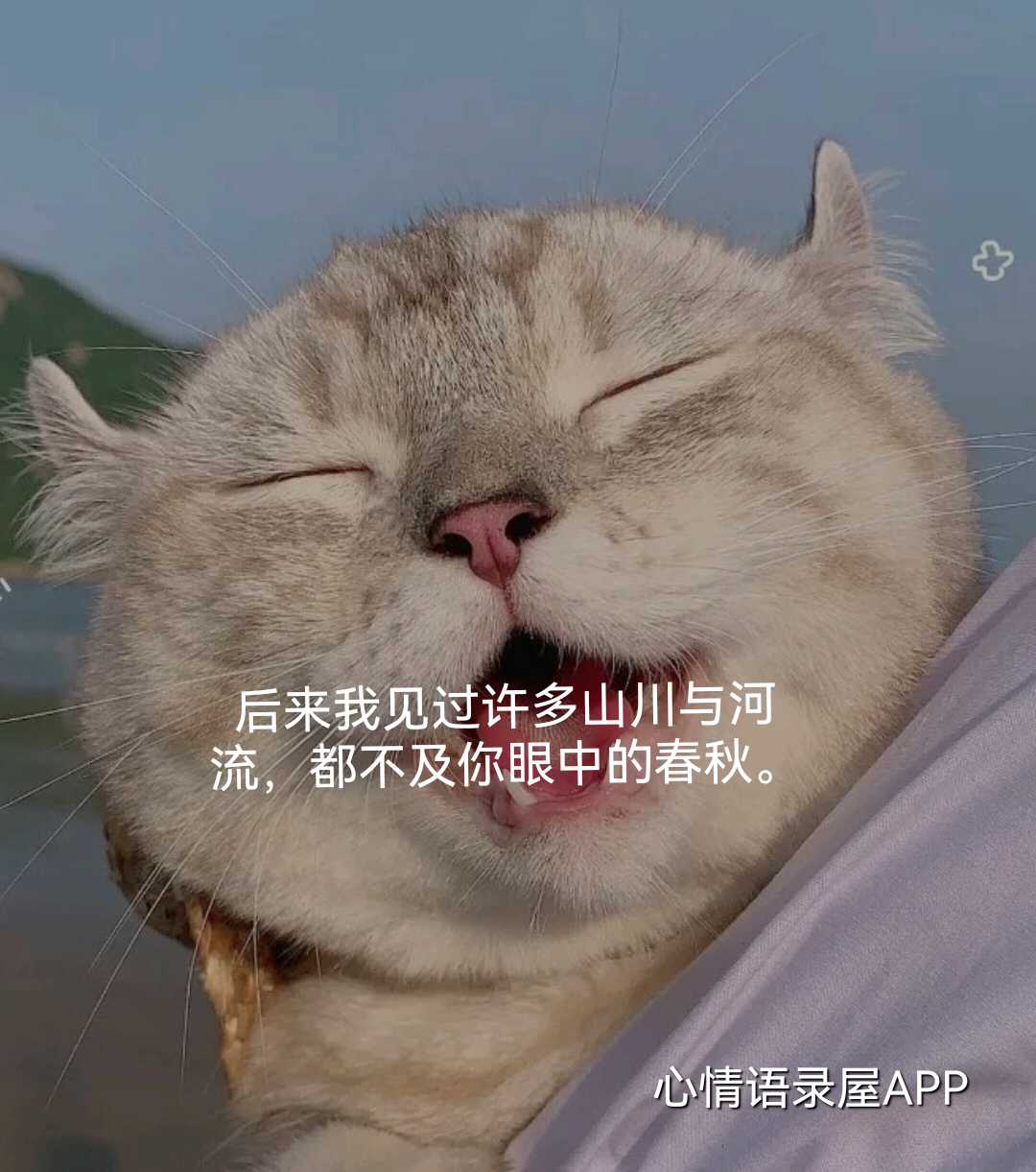 https://www.58100.com/index/detail/763560