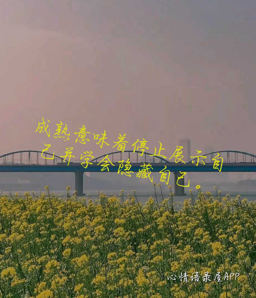 https://www.58100.com/index/detail/763584
