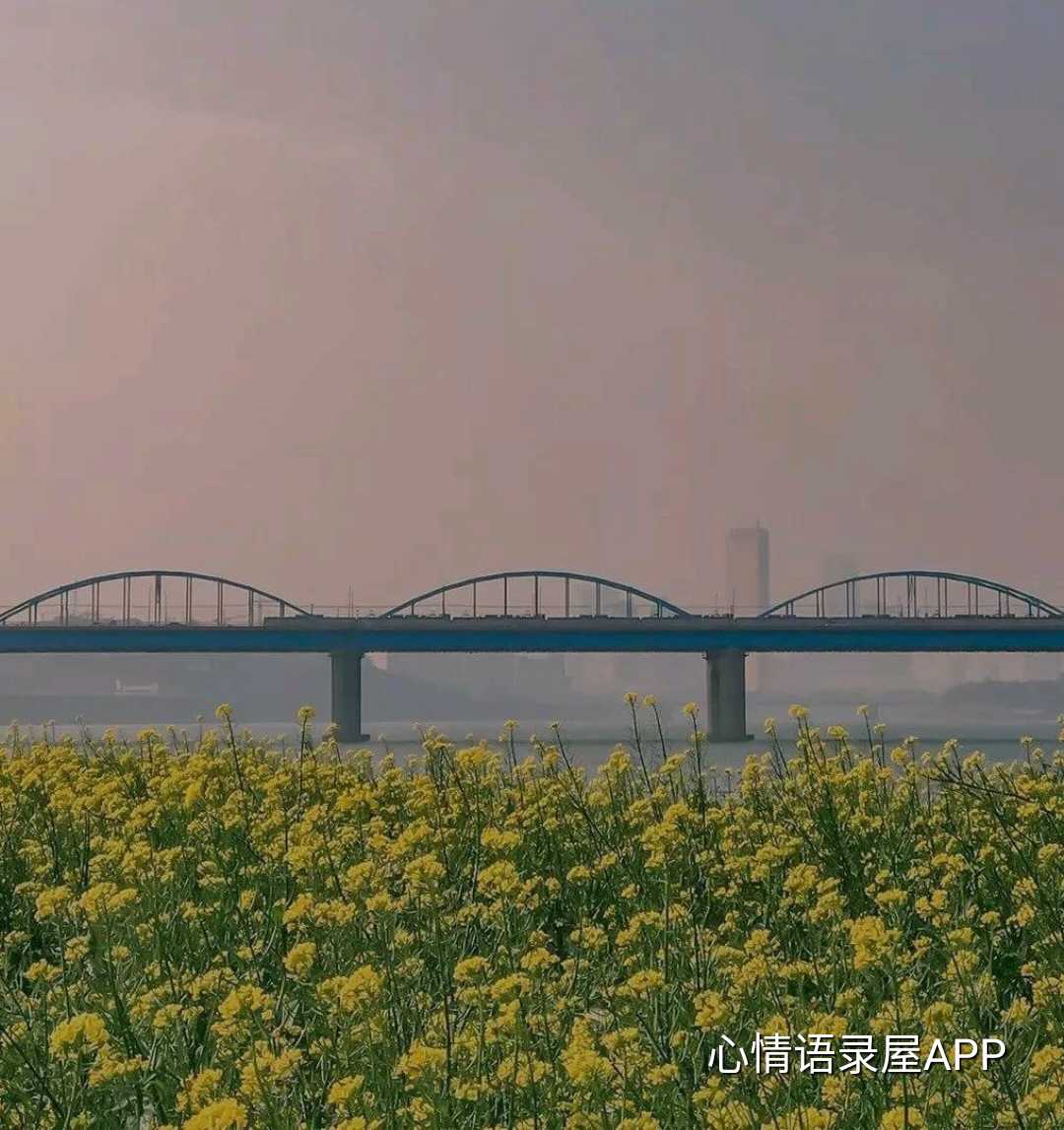https://www.58100.com/index/detail/763598